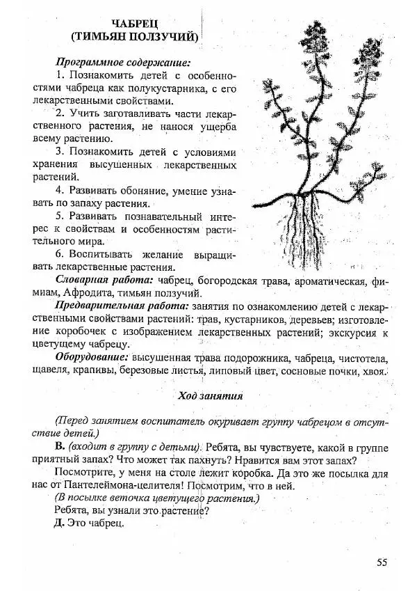  Коллектив авторов - Ознакомление детей с лекарственными растениями - Страница № 54
