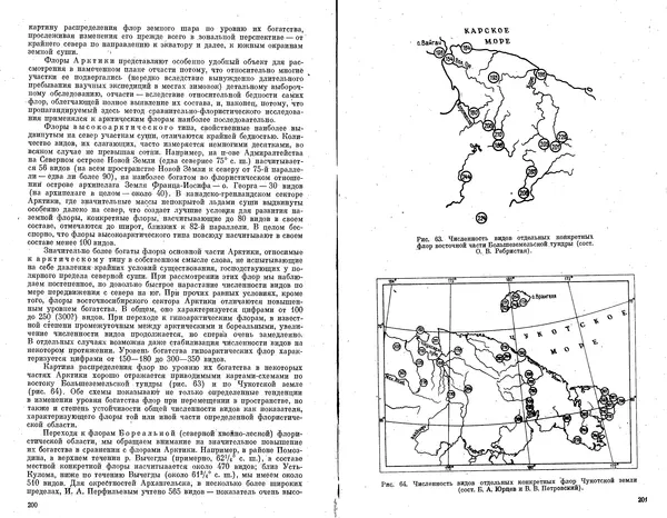 Александр Толмачев - Введение в географию растений - Страница № 102