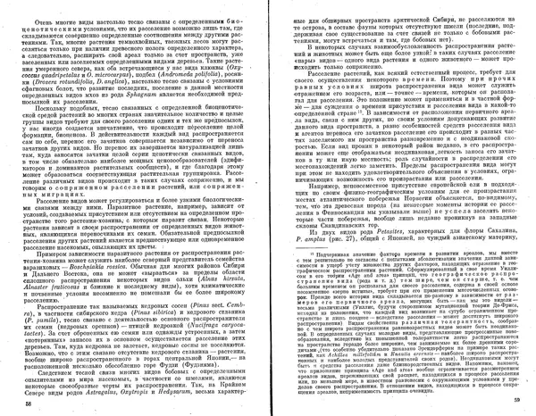 Александр Толмачев - Введение в географию растений - Страница № 31