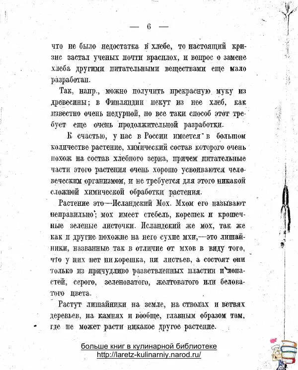 А. Рейзнек - Инструкция для сбора, хранения и применения в пищу исландского мха - Страница № 4
