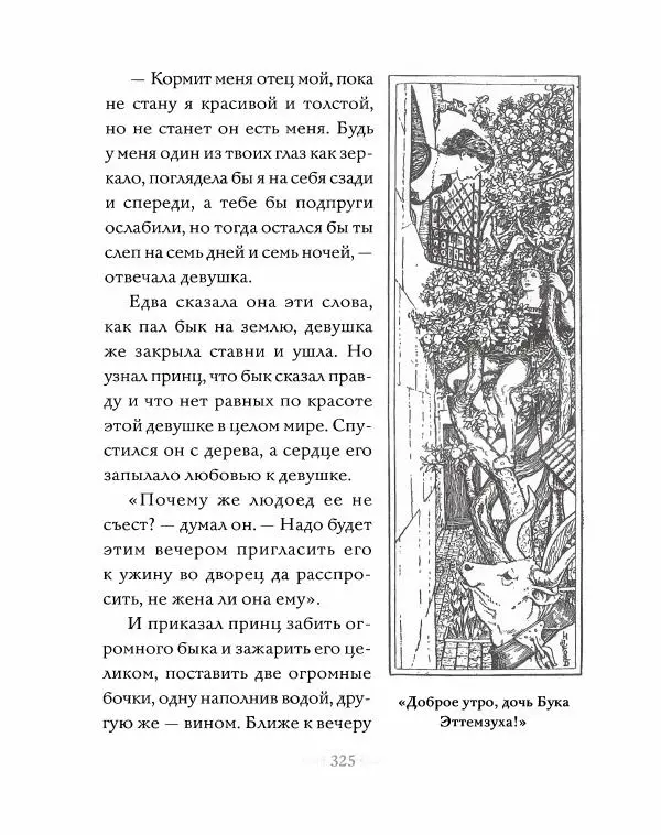 Эндрю Лэнг - Серая книга сказок - Страница № 326