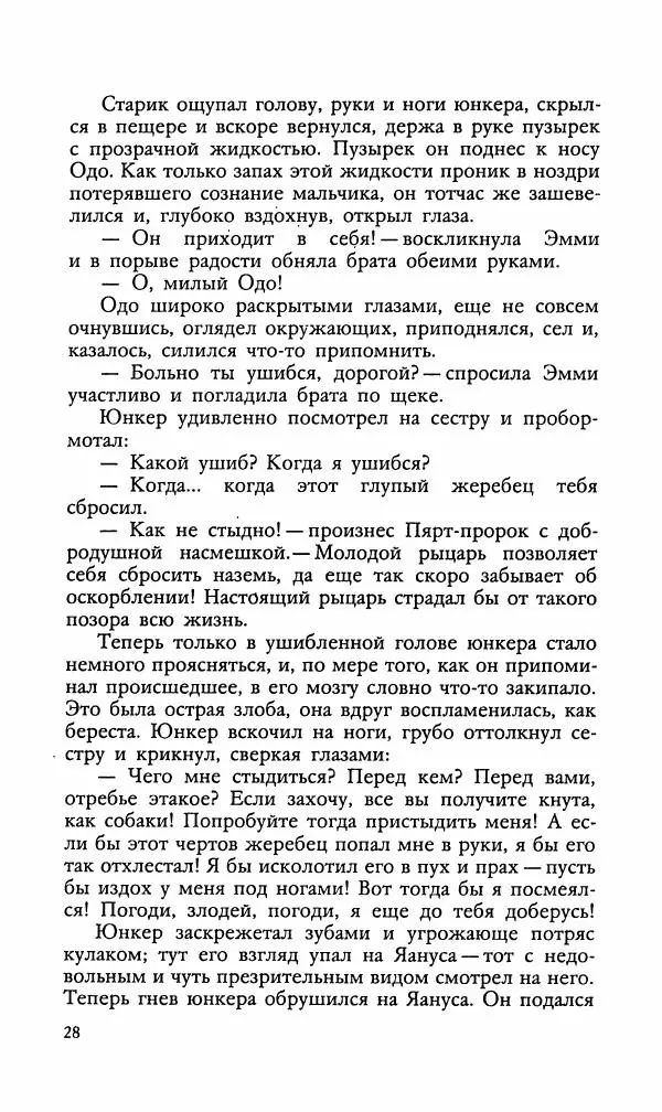 Эдуард БОРНХЁЭ - Мститель - Страница № 30