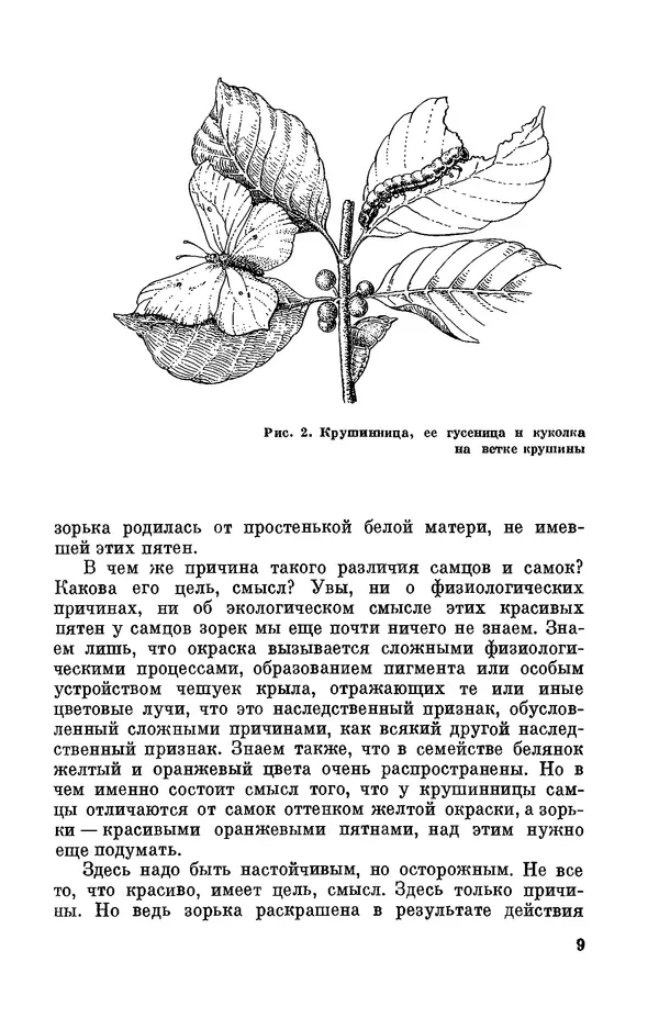 Александр Серебровский - Биологические прогулки  - Страница № 11