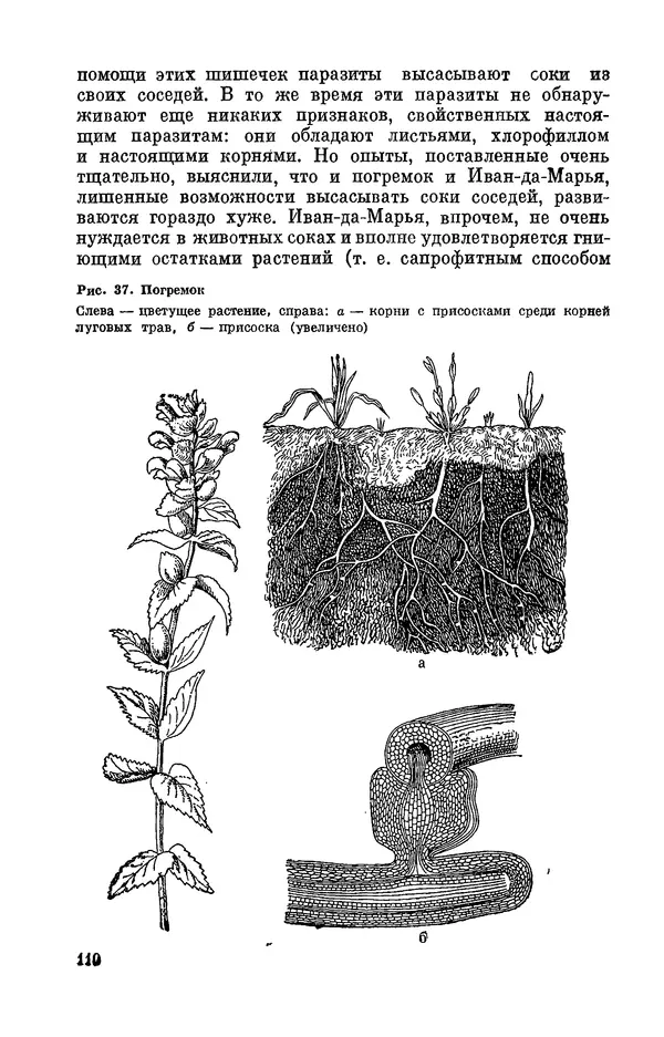 Александр Серебровский - Биологические прогулки  - Страница № 114