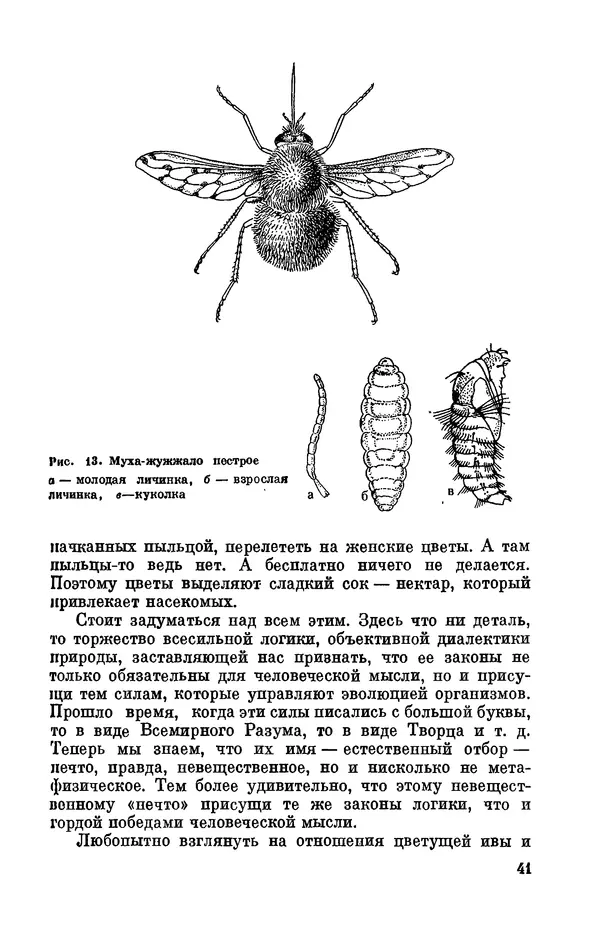 Александр Серебровский - Биологические прогулки  - Страница № 43
