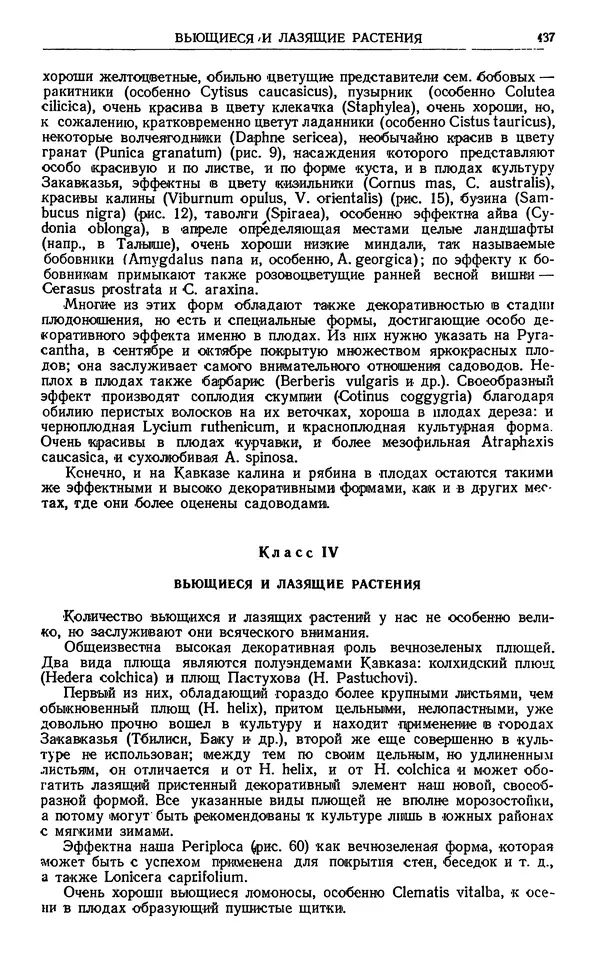 Александр Гроссгейм - Растительные богатства Кавказа - Страница № 439