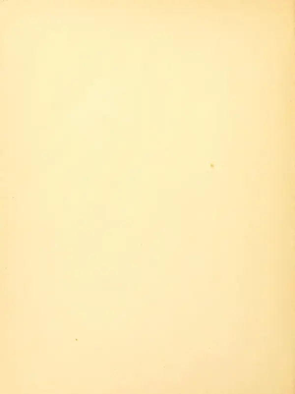 П. Пашков - Ордена и знаки отличия Гражданской войны 1917-1922 годов - Страница № 38