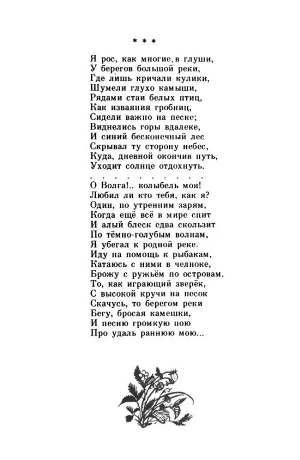 Николай Некрасов - Школьник - Страница № 18