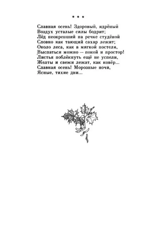 Николай Некрасов - Школьник - Страница № 29