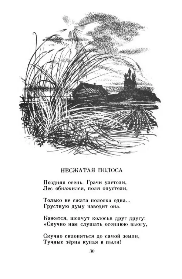 Николай Некрасов - Школьник - Страница № 33