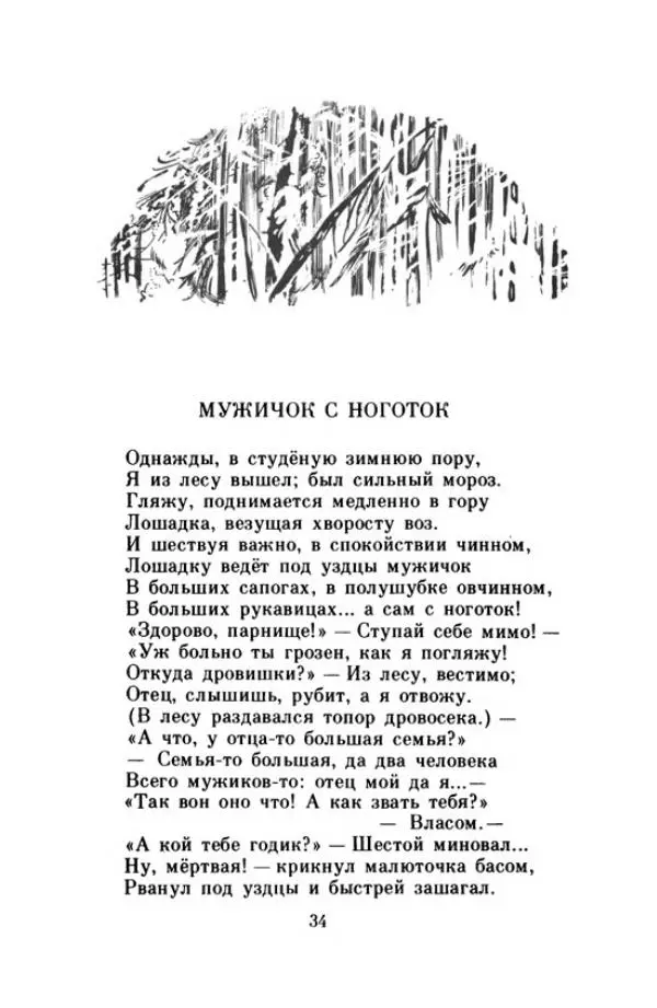 Николай Некрасов - Школьник - Страница № 37