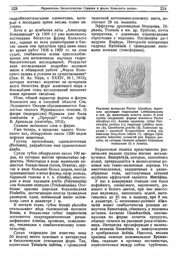  журнал «Природа» - Природа 1919 №04-06 - Страница № 23