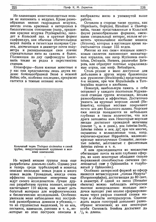  журнал «Природа» - Природа 1919 №04-06 - Страница № 24