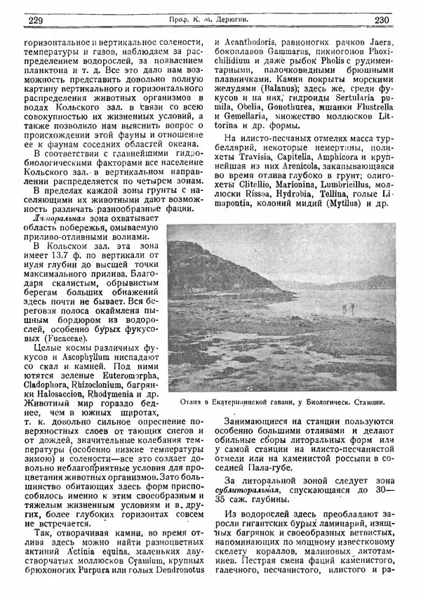  журнал «Природа» - Природа 1919 №04-06 - Страница № 26