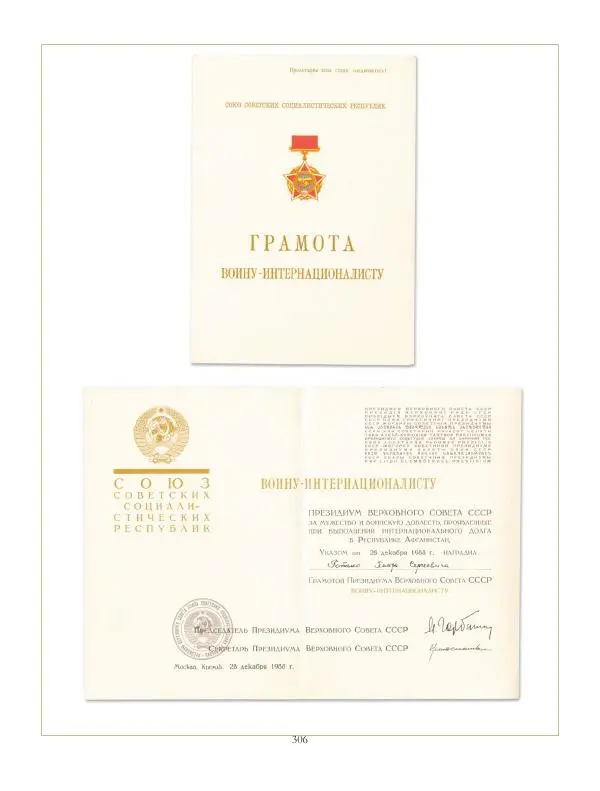 Коллектив авторов - Ордена и медали СССР - Страница № 306 Коллектив авторов - Ордена и медали СССР - Страница № 306