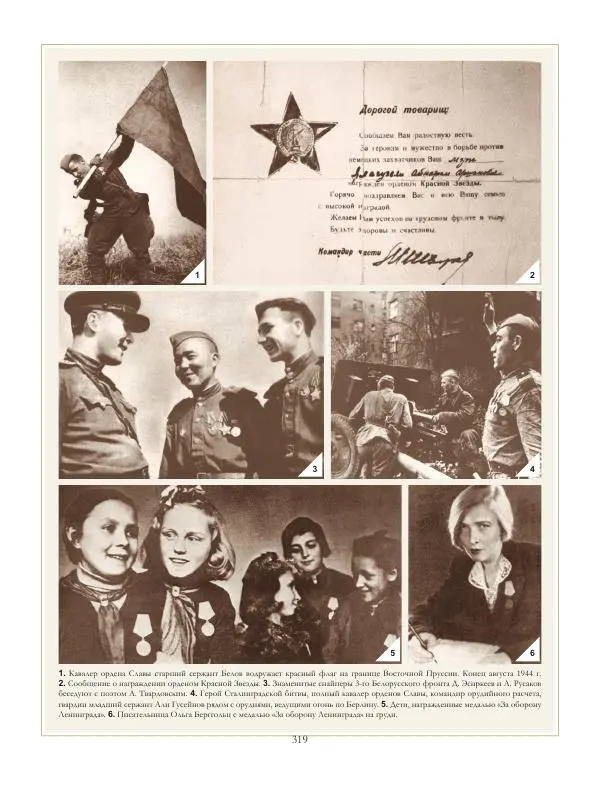 Коллектив авторов - Ордена и медали СССР - Страница № 319 Коллектив авторов - Ордена и медали СССР - Страница № 319