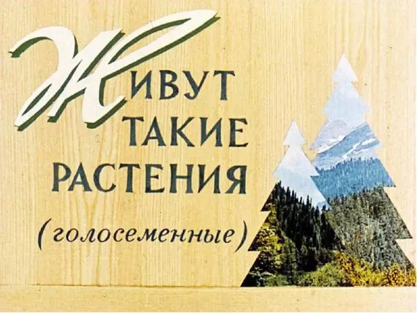 А. Розенштейн - Живут такие растения (голосеменные) - Страница № 1 А. Розенштейн - Живут такие растения (голосеменные) - Страница № 1
