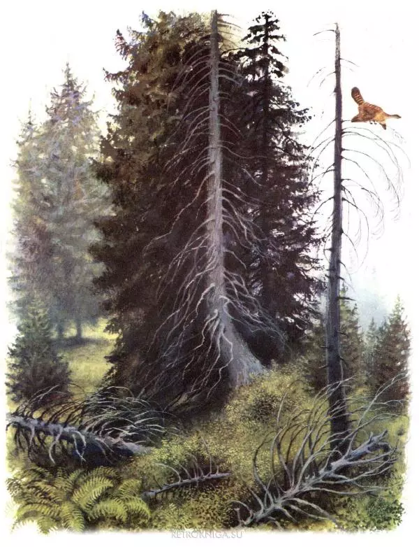 Виктор Астафьев - Где лето с зимою встречаются. Рассказы о природе - Страница № 56