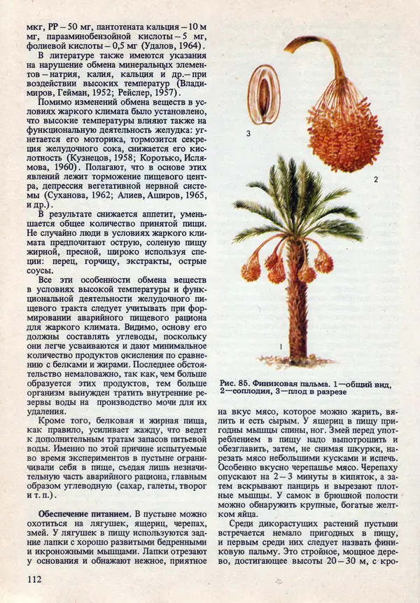 Виталий Волович - Человек в экстремальных условиях природной среды - Страница № 110
