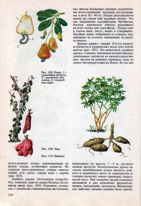 Виталий Волович - Человек в экстремальных условиях природной среды - Страница № 131