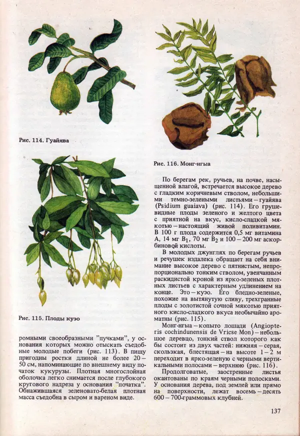 Виталий Волович - Человек в экстремальных условиях природной среды - Страница № 134