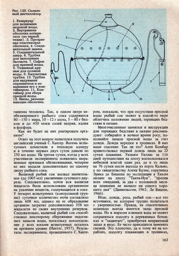 Виталий Волович - Человек в экстремальных условиях природной среды - Страница № 159