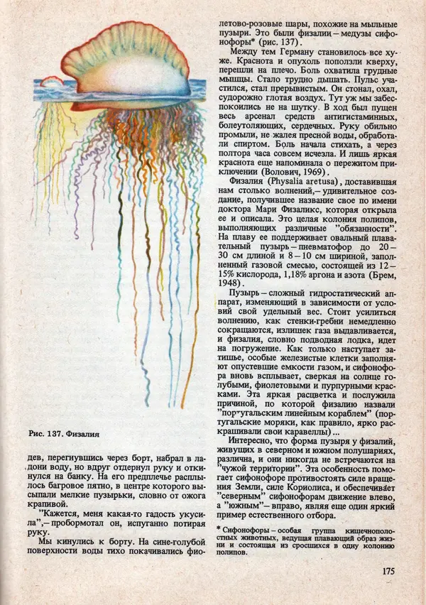 Виталий Волович - Человек в экстремальных условиях природной среды - Страница № 171