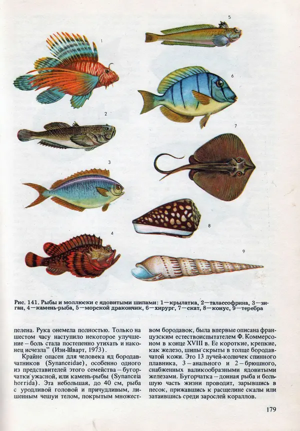 Виталий Волович - Человек в экстремальных условиях природной среды - Страница № 175