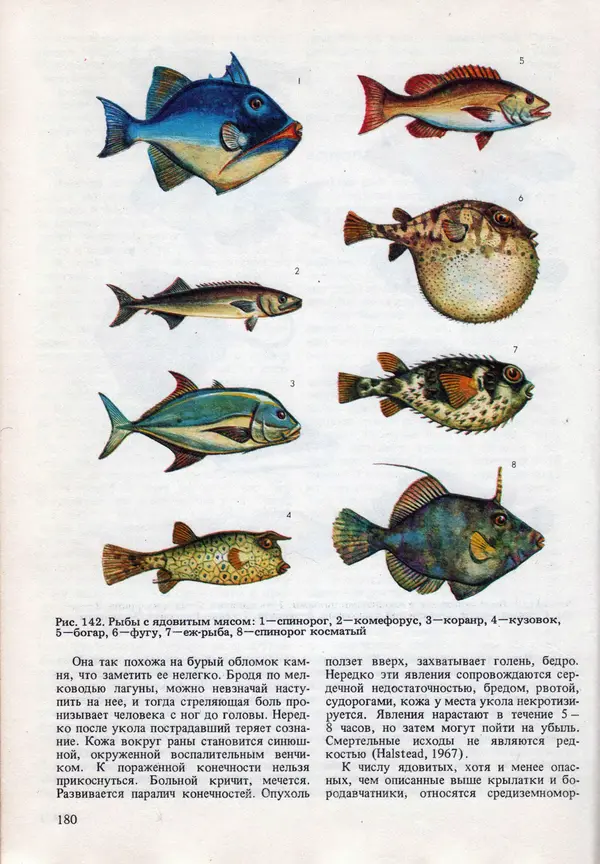 Виталий Волович - Человек в экстремальных условиях природной среды - Страница № 176