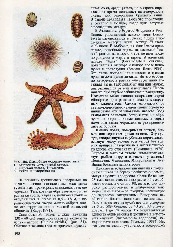 Виталий Волович - Человек в экстремальных условиях природной среды - Страница № 194