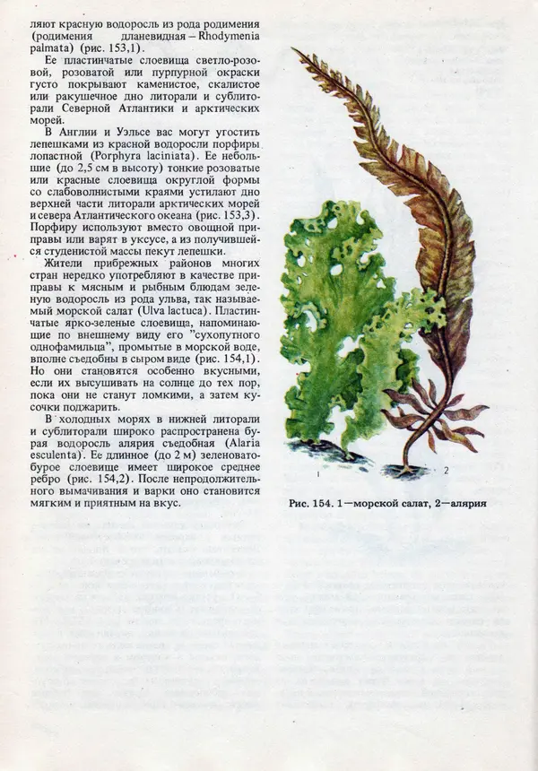 Виталий Волович - Человек в экстремальных условиях природной среды - Страница № 196