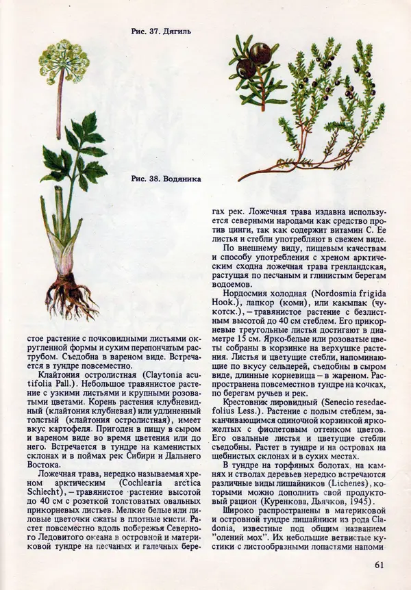 Виталий Волович - Человек в экстремальных условиях природной среды - Страница № 61