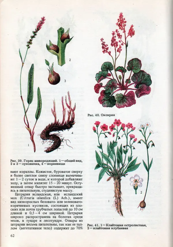 Виталий Волович - Человек в экстремальных условиях природной среды - Страница № 62