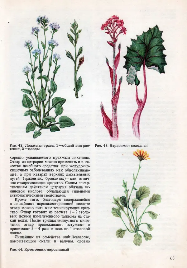 Виталий Волович - Человек в экстремальных условиях природной среды - Страница № 63