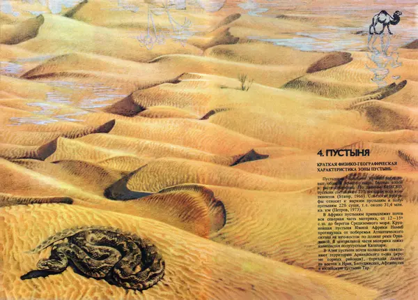 Виталий Волович - Человек в экстремальных условиях природной среды - Страница № 91