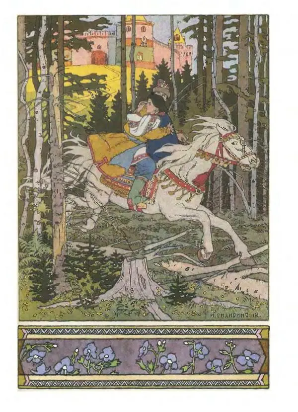 Владимир Аникин - Русские народные сказки - Страница № 494