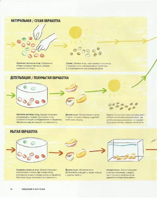  - Всемирный атлас кофе - Страница № 34