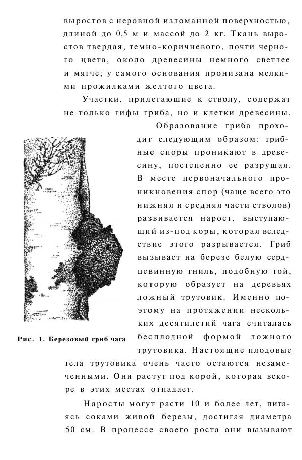 Евгения Сбитнева - Гриб чага против 100 болезней - Страница № 9