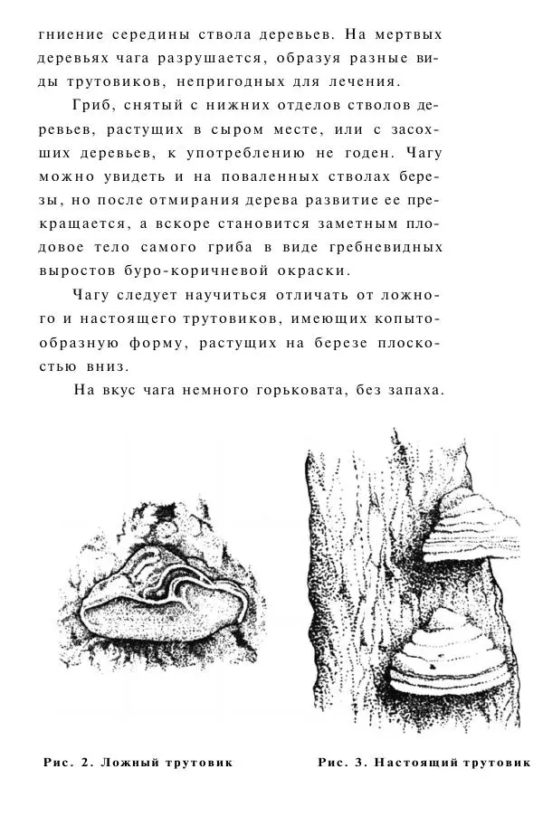 Евгения Сбитнева - Гриб чага против 100 болезней - Страница № 10