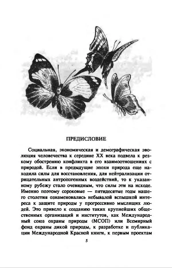 Дэвид Эттенборо - В поисках дракона - Страница № 8