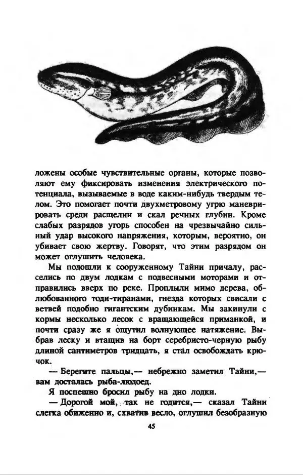 Дэвид Эттенборо - В поисках дракона - Страница № 48