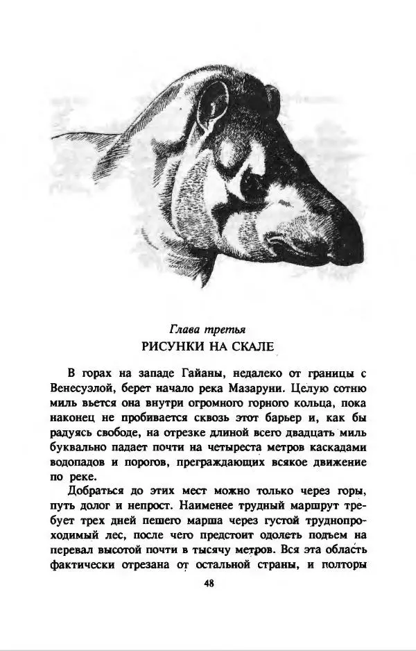 Дэвид Эттенборо - В поисках дракона - Страница № 51