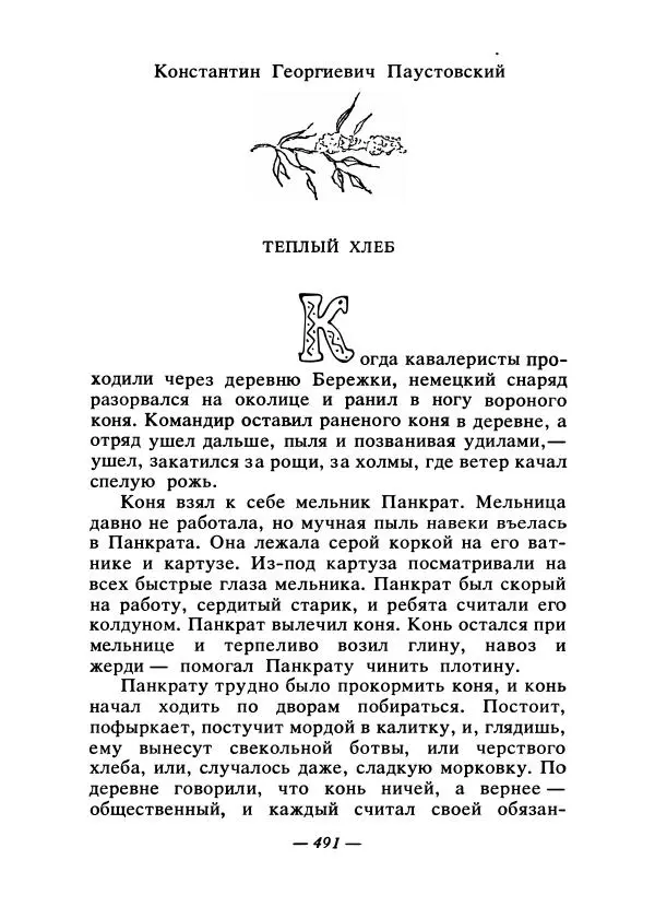 Константин Паустовский - Сказки русских писателей - Страница № 506