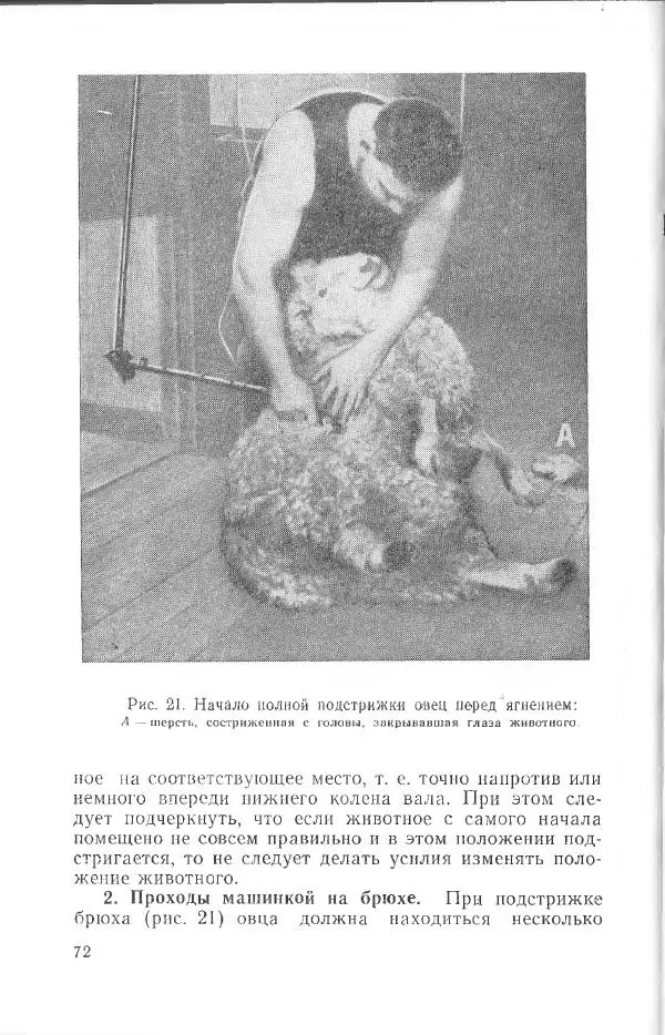Годарри Боуэн - Мастерство стрижки овец - Страница № 72