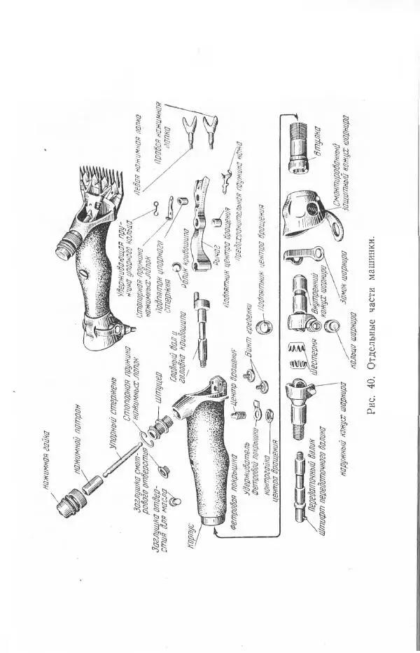 Годарри Боуэн - Мастерство стрижки овец - Страница № 101