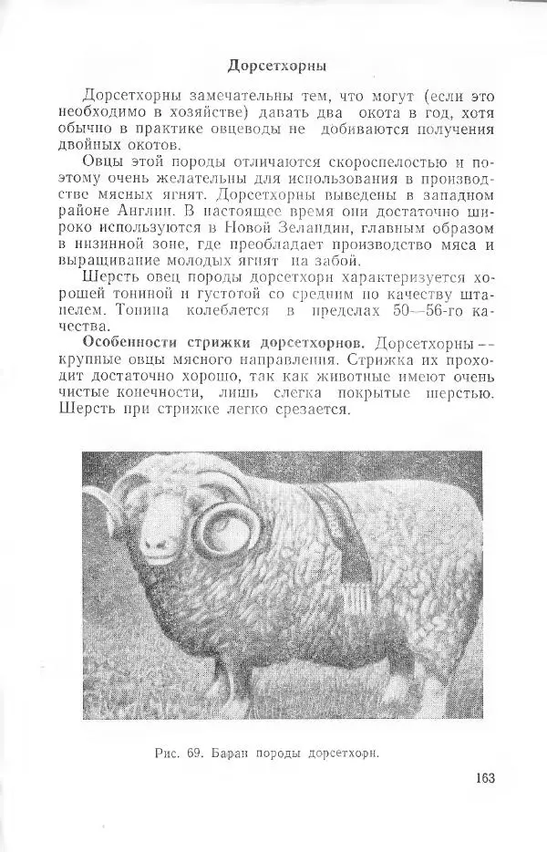 Годарри Боуэн - Мастерство стрижки овец - Страница № 163