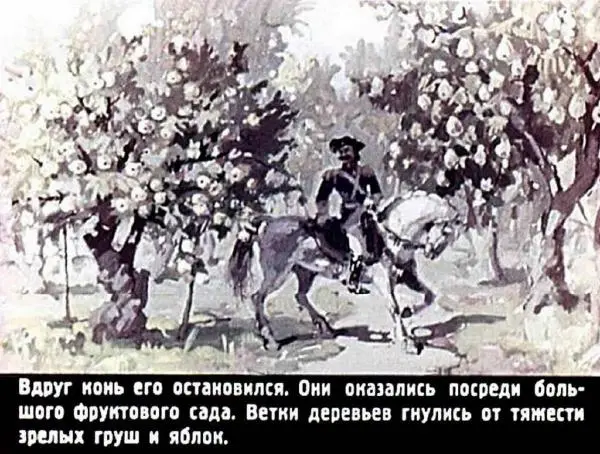  Автор неизвестен - Народные сказки - Принцесса с длинным носом - Страница № 21