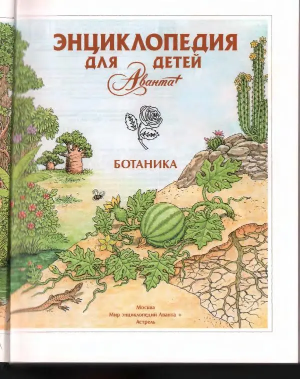  Энциклопедия для детей Аванта+ - Энциклопедия для детей. Том 43. Ботаника - Страница № 7