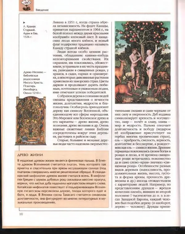  Энциклопедия для детей Аванта+ - Энциклопедия для детей. Том 43. Ботаника - Страница № 14