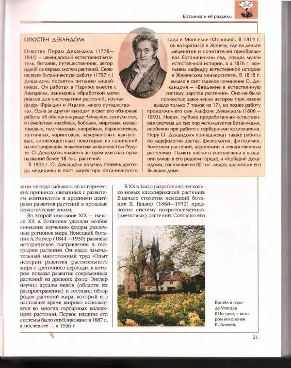  Энциклопедия для детей Аванта+ - Энциклопедия для детей. Том 43. Ботаника - Страница № 25